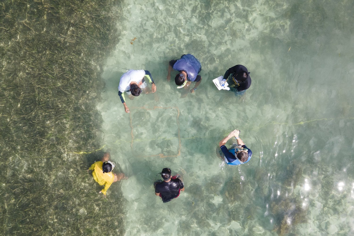 Six people standing in shallow clear water near a shoreline in the Philippines